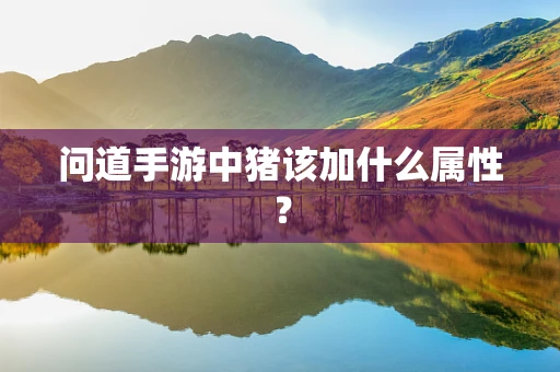 问道手游中猪该加什么属性？