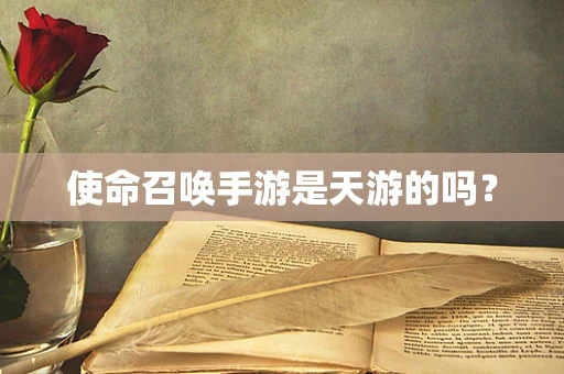 使命召唤手游是天游的吗？