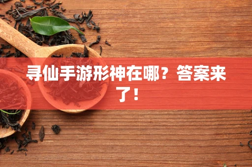 寻仙手游形神在哪？答案来了！