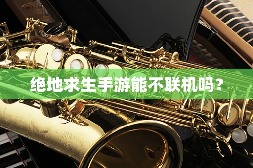 绝地求生手游能不联机吗？