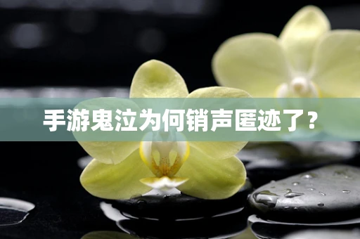 手游鬼泣为何销声匿迹了？