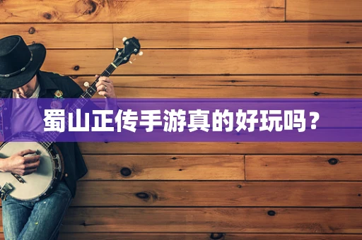 蜀山正传手游真的好玩吗？