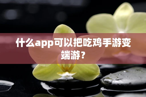 什么app可以把吃鸡手游变端游？