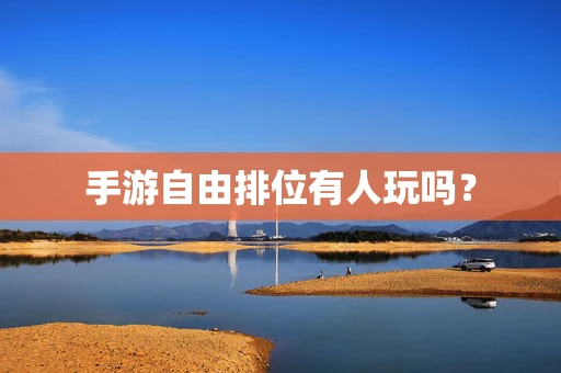 手游自由排位有人玩吗？