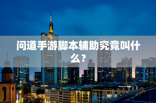 问道手游脚本辅助究竟叫什么？