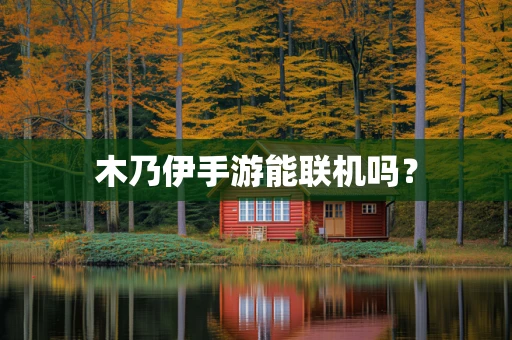 木乃伊手游能联机吗？