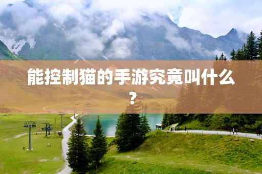 能控制猫的手游究竟叫什么？