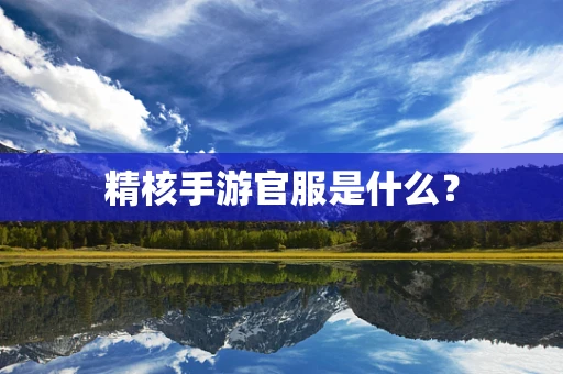 精核手游官服是什么？