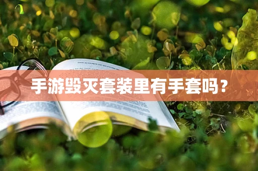 手游毁灭套装里有手套吗？