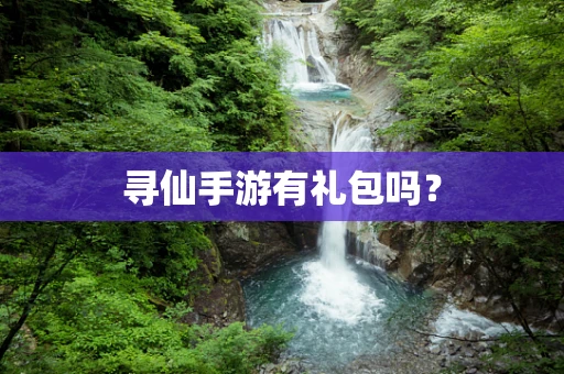 寻仙手游有礼包吗？