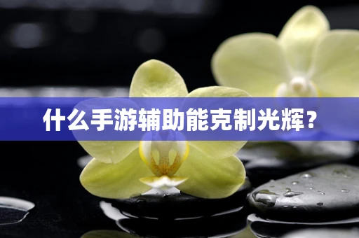 什么手游辅助能克制光辉？