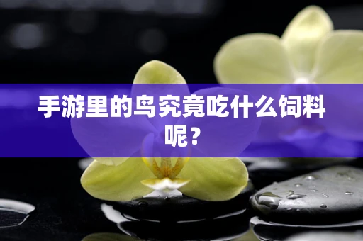 手游里的鸟究竟吃什么饲料呢？