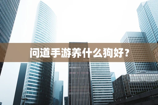 问道手游养什么狗好？