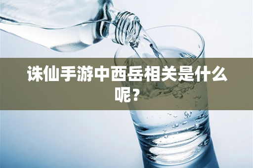 诛仙手游中西岳相关是什么呢？