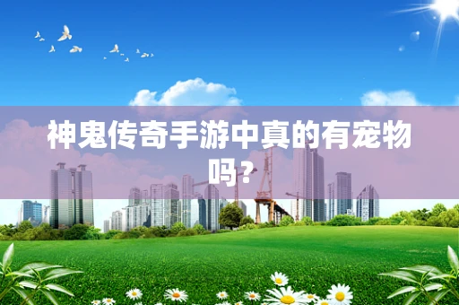 神鬼传奇手游中真的有宠物吗？