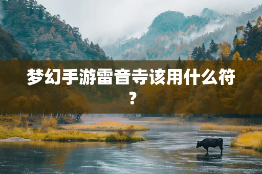 梦幻手游雷音寺该用什么符？
