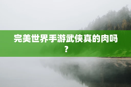完美世界手游武侠真的肉吗？