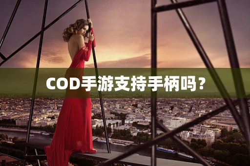 COD手游支持手柄吗？