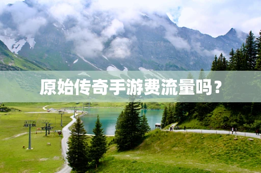 原始传奇手游费流量吗？