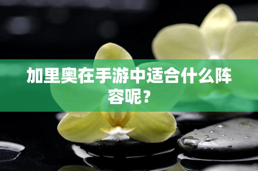 加里奥在手游中适合什么阵容呢？