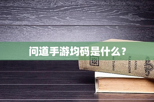 问道手游均码是什么？