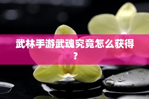 武林手游武魂究竟怎么获得？