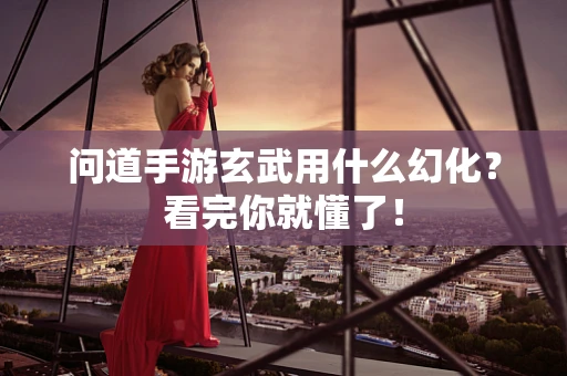 问道手游玄武用什么幻化？看完你就懂了！
