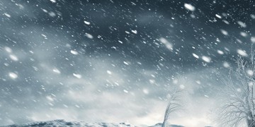 暴雪手游真的有出路吗？