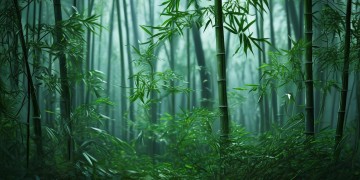 武林外传手游会送时装吗？